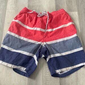 Striped Men's Swim Shorts